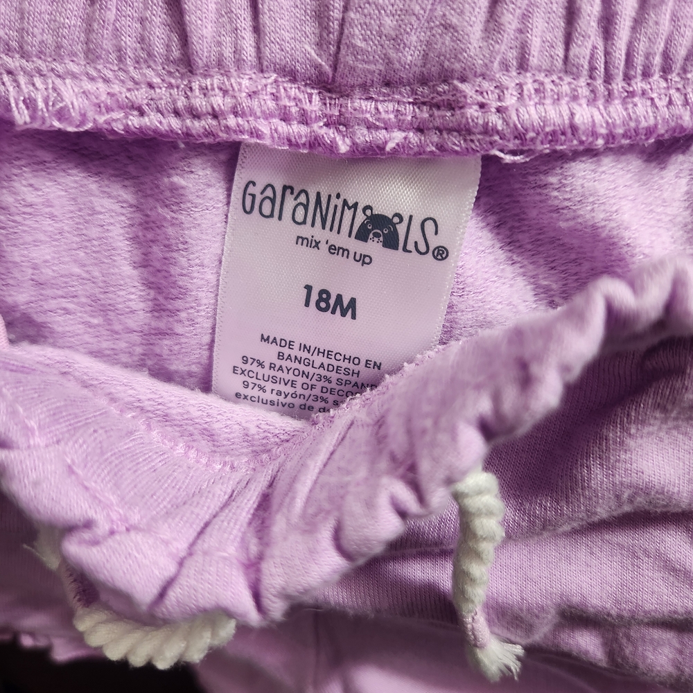 Garanimals Light Green and Purple Pineapple Set - Picture 3 of 4